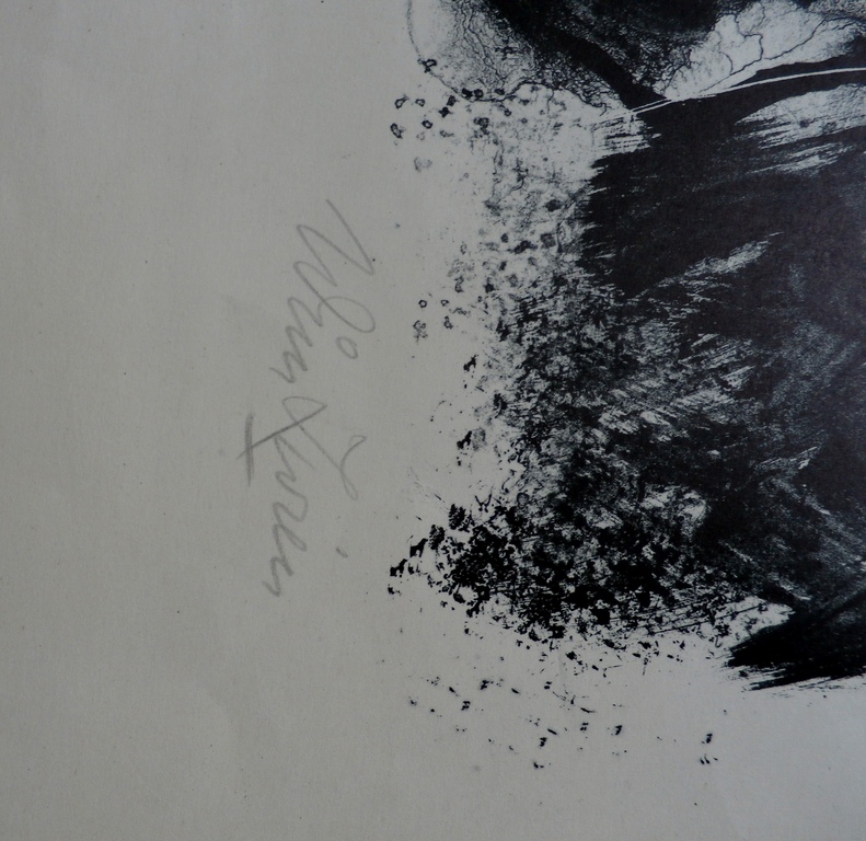 Wim Zwiers - Litho -  kopen? Bied vanaf 35!