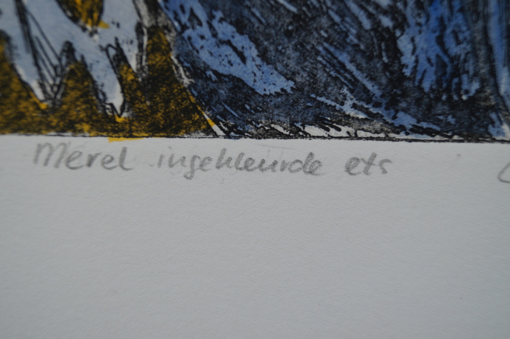 Loes Huis in 't Veld - gesigneerde ingekleurde ets - Merel kopen? Bied vanaf 1!