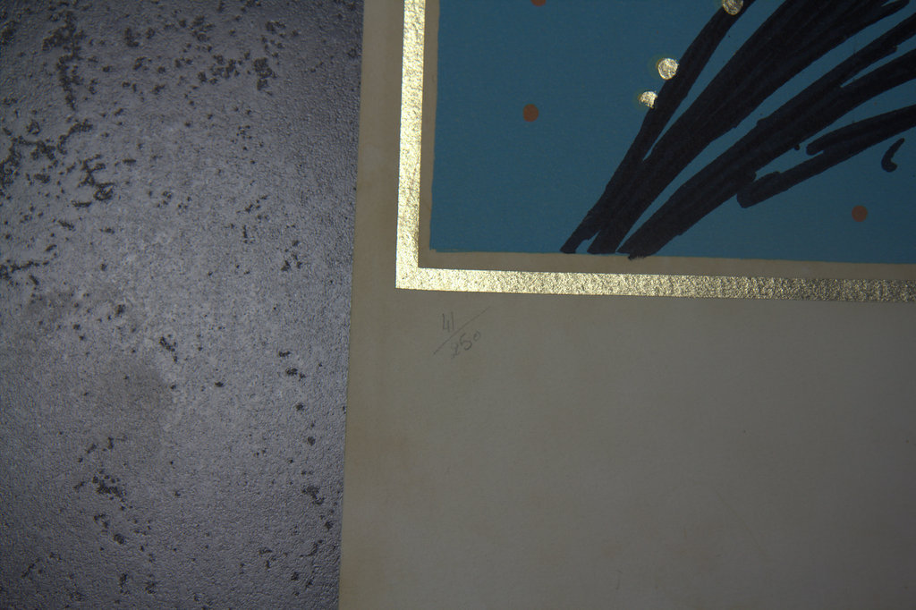 Dali: Originele, handgesigneerde en genummerde litho 1977 'Peter' met bladgoud kopen? Bied vanaf 1250!