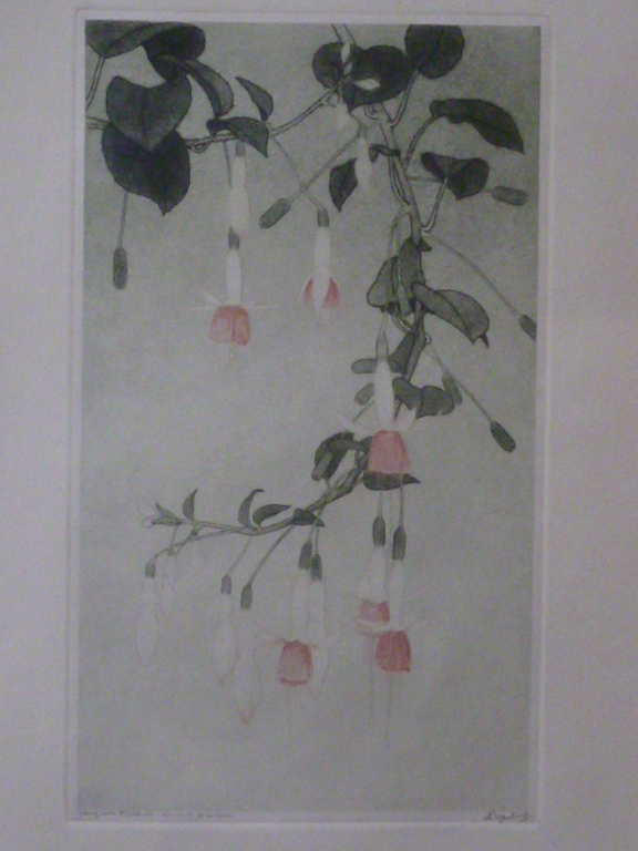 Dirk Harting - aquatint - Hangende fuchsia kopen? Bied vanaf 90!