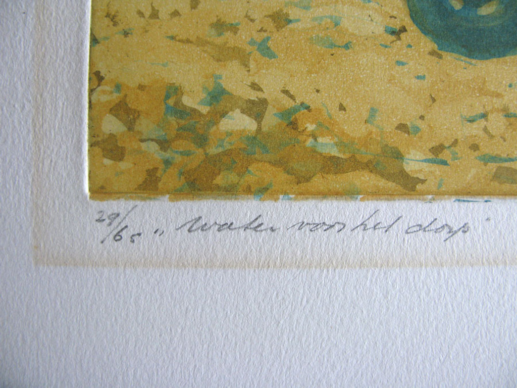 Willy Belinfante - WATER VOOR HET DORP - twee kleuretsen kopen? Bied vanaf 1!