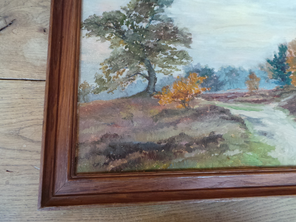 Bosgezicht kopen? Bied vanaf 25!