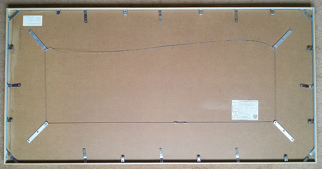 Michel Huisman - Snake (hiding), zeefdruk (ingelijst, groot) kopen? Bied vanaf 80!