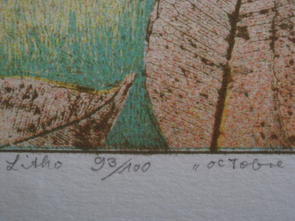 Virtuose Lithografiekunst van Georg Hadeler (1939-) "Octobre" gesigneerd kopen? Bied vanaf 1!