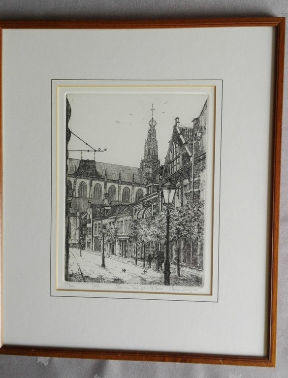 Anna Doedijns: Lijnets, Haarlemstraatje en St. Bavo kopen? Bied vanaf 1!