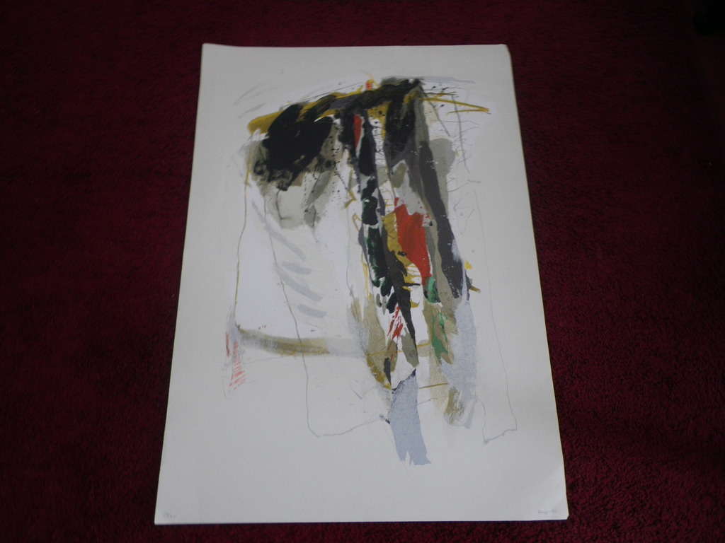 Hans Meyer Petersen (cobra) grote zeefdruk  kopen? Bied vanaf 100!