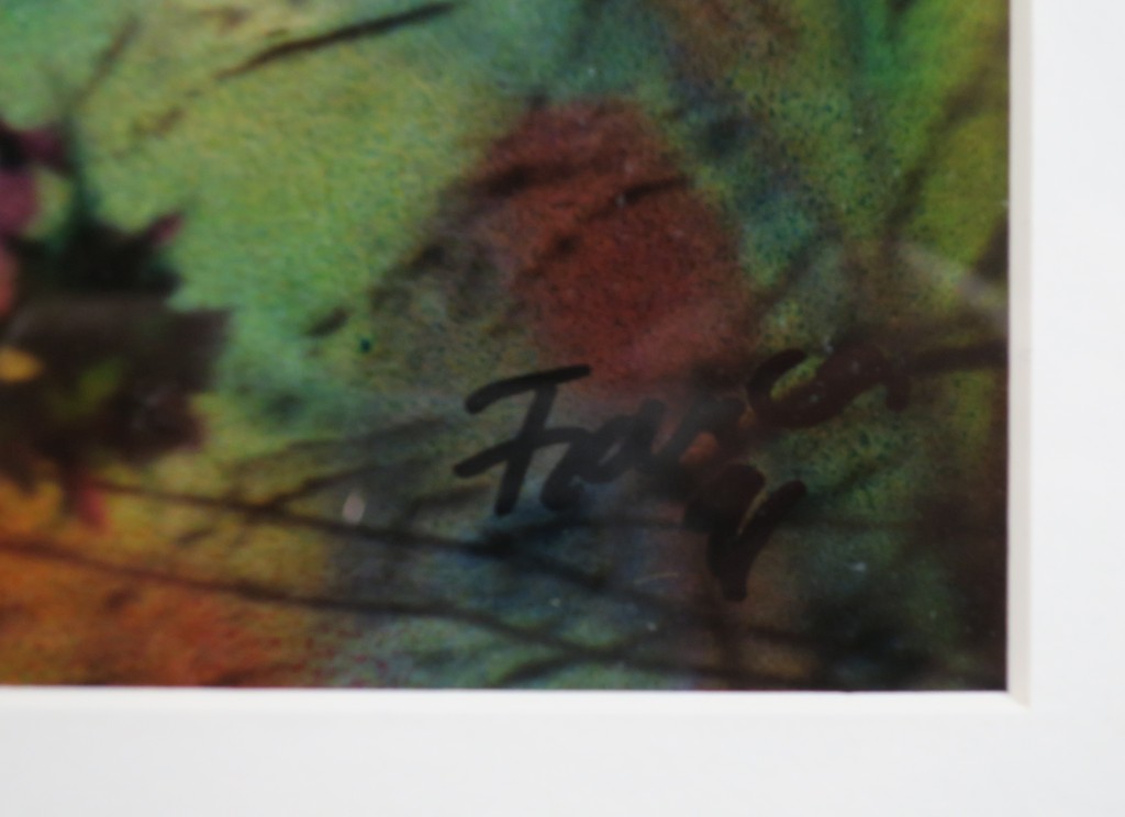 Franca Muller Jabusch: Foto, Sad - Ingelijst kopen? Bied vanaf 35!