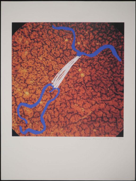 Marina Abramovic: Zeefdruk, Z.T. kopen? Bied vanaf 115!