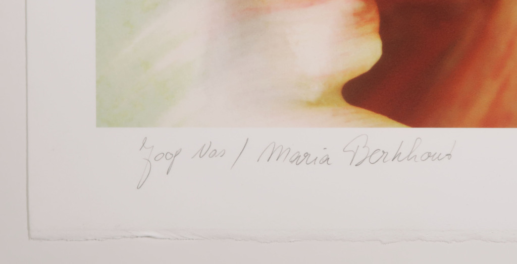 Joop Vos en Maria Berkhout: Giclee, Tulipa 16 (Groot) kopen? Bied vanaf 50!