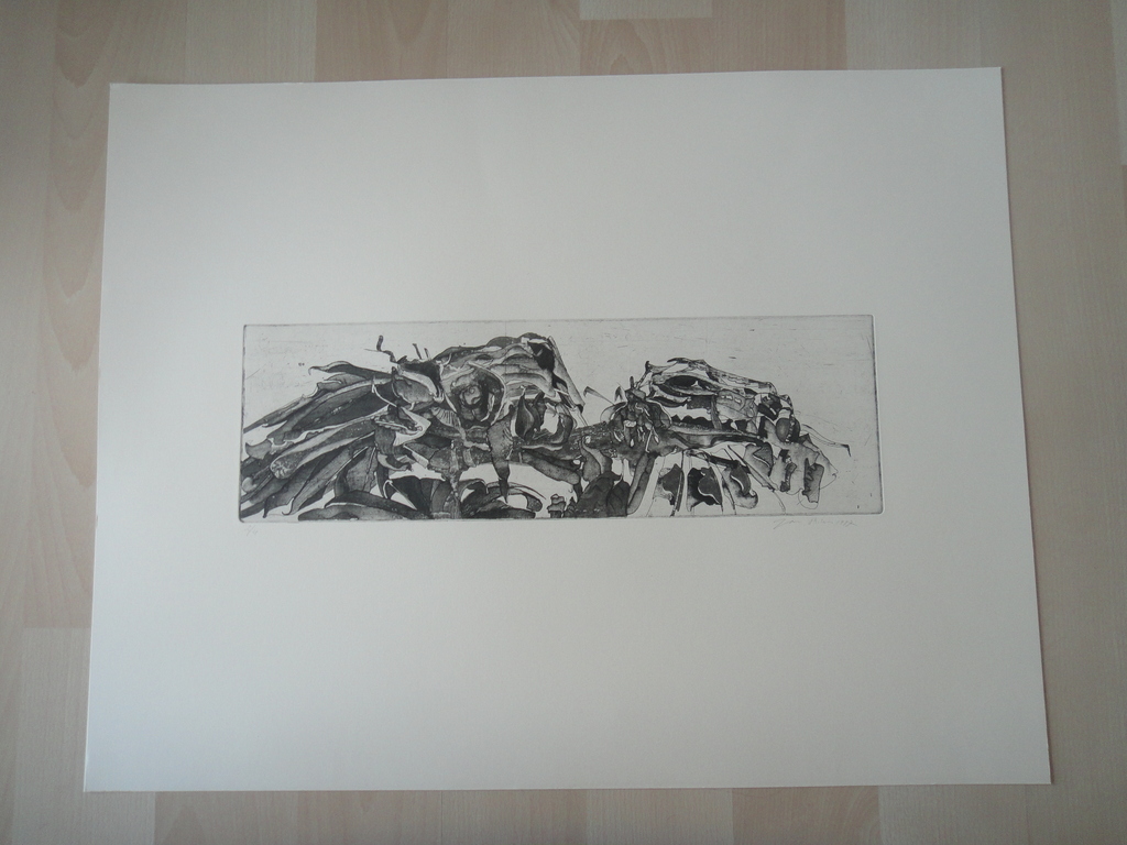 Jan Prins (1956) - (zeldzame) ets - tropische bloemen II kopen? Bied vanaf 1!