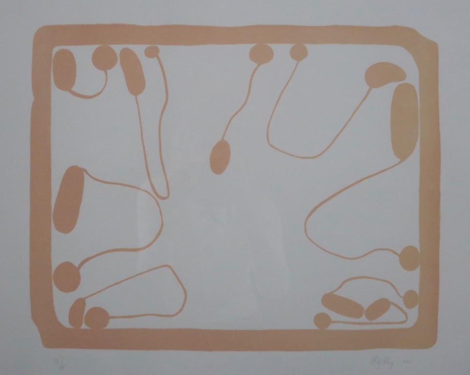 Hans Hovy: Litho, Floating- Ingelijst kopen? Bied vanaf 50!