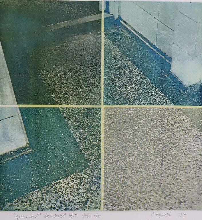 Ana Swart: Foto ets, Grounded kopen? Bied vanaf 1!