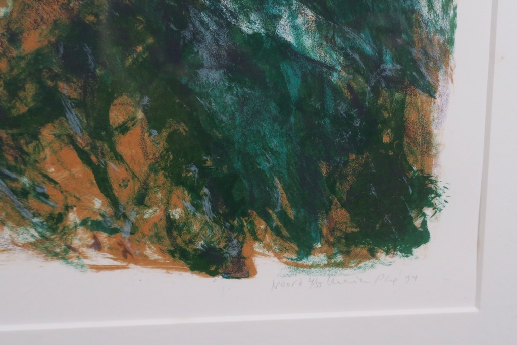 Marian Plug: Litho, Noord - Ingelijst kopen? Bied vanaf 1!