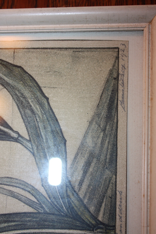 Engelgras Handdruk litho 1923 kopen? Bied vanaf 55!