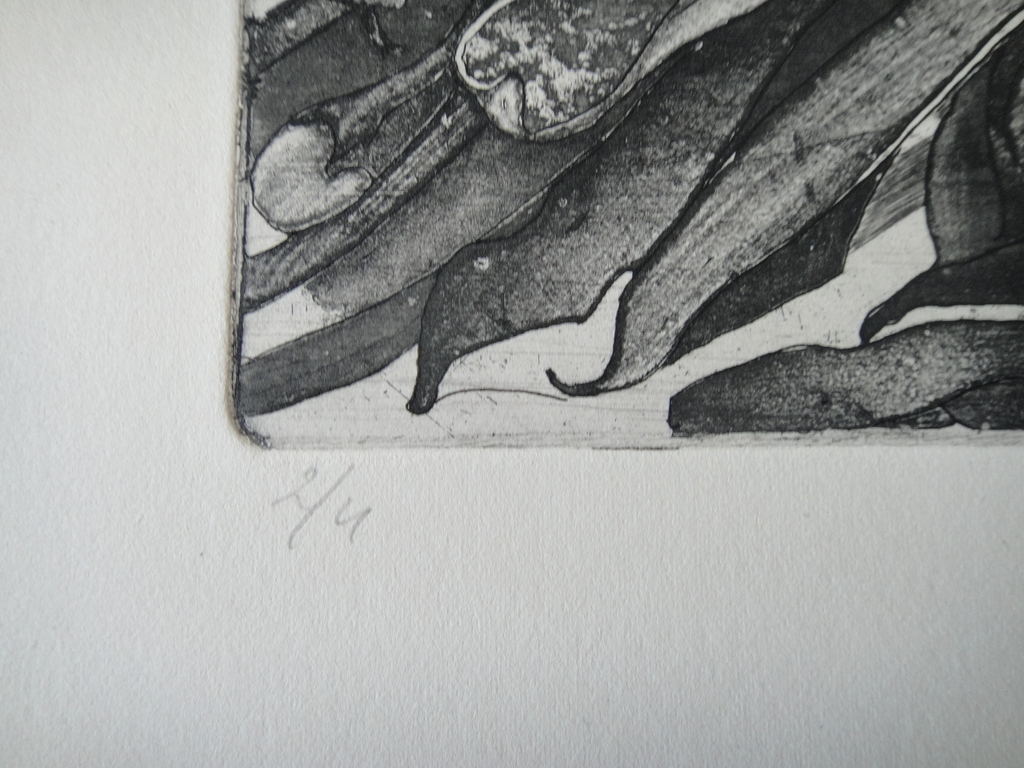 Jan Prins (1956) - (zeldzame) ets - tropische bloemen II kopen? Bied vanaf 1!