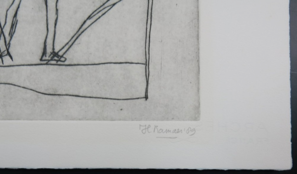 Hanny Ramaer: Droge naald, Plantaardig kopen? Bied vanaf 1!