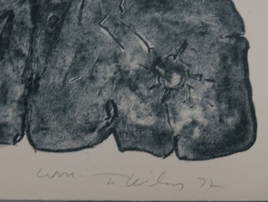 WIlliam T. Wiley: Lithografie, Wash Doubt.  kopen? Bied vanaf 1!