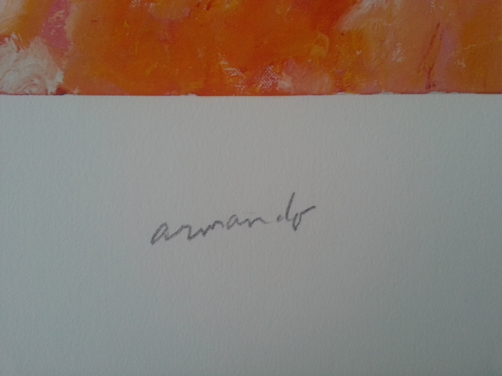 ARMANDO - "Gestallt" - Giclee - Handgesigneerd en Genummerd 7/25 - Laatste Kans! kopen? Bied vanaf 95!