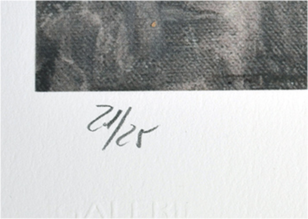 Das Fenster, gesigneerde giclee, oplage 25 ex, 2015 kopen? Bied vanaf 175!