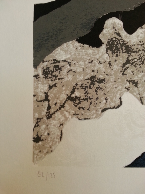 ronald Boonacker, zeefdruk op papier, Titel: "Night Sky II" kopen? Bied vanaf 30!