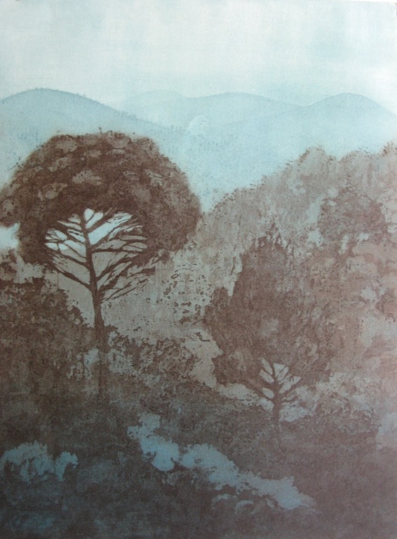 Willy Belinfante - SCHEMER IN DE PROVENCE - kleurets kopen? Bied vanaf 1!