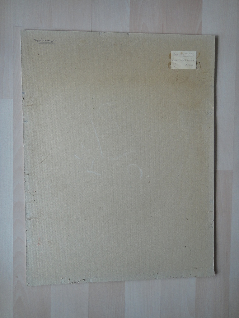 Paul van Eeden, aquarel, 'een stille tuin' kopen? Bied vanaf 75!