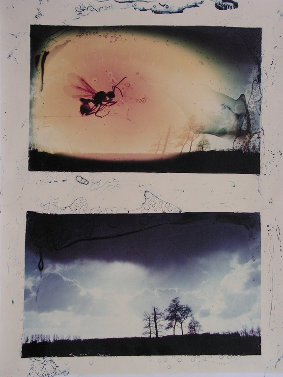 Rob Lengkeek  -  foto  -  'IJSBERG'  bijgevoegd  1 foto. Oplage 10! kopen? Bied vanaf 50!