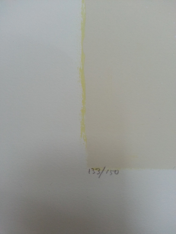 Ron van der werf, zeefdruk met zwelinkt, Mysterie I kopen? Bied vanaf 50!