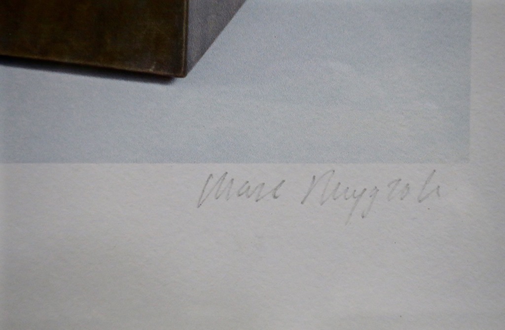 Marc Ruygrok: Piezografie, Sol - Ingelijst kopen? Bied vanaf 20!