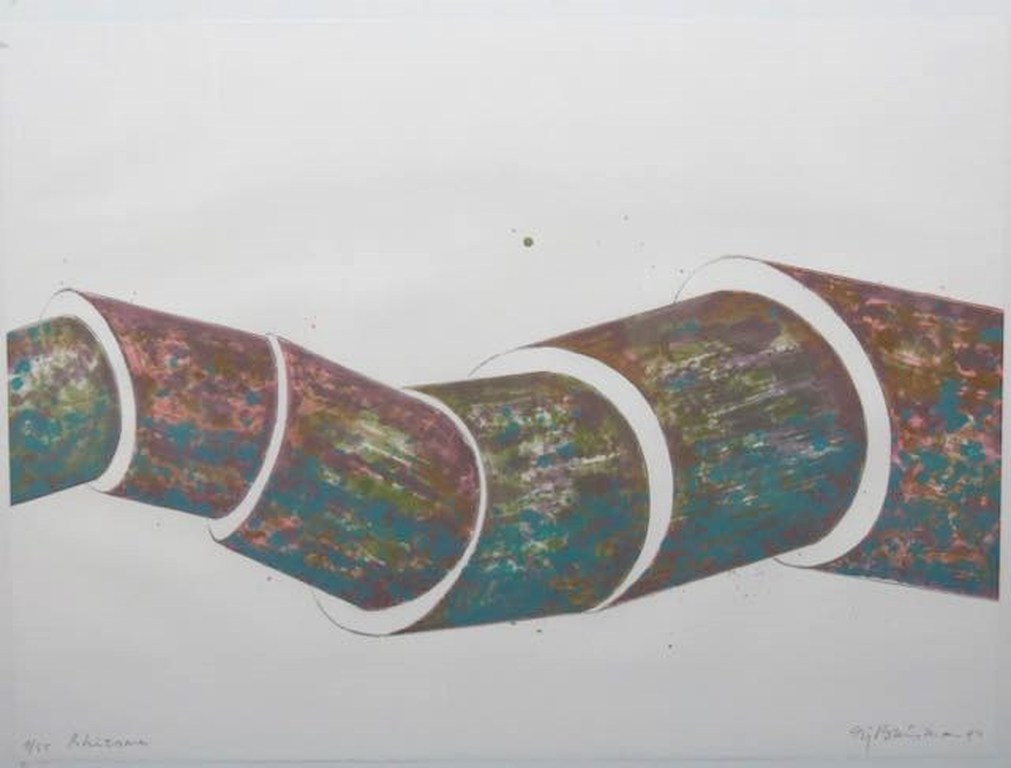 Sjoerd Buisman: Litho, Rhizome verkocht voor € 225!