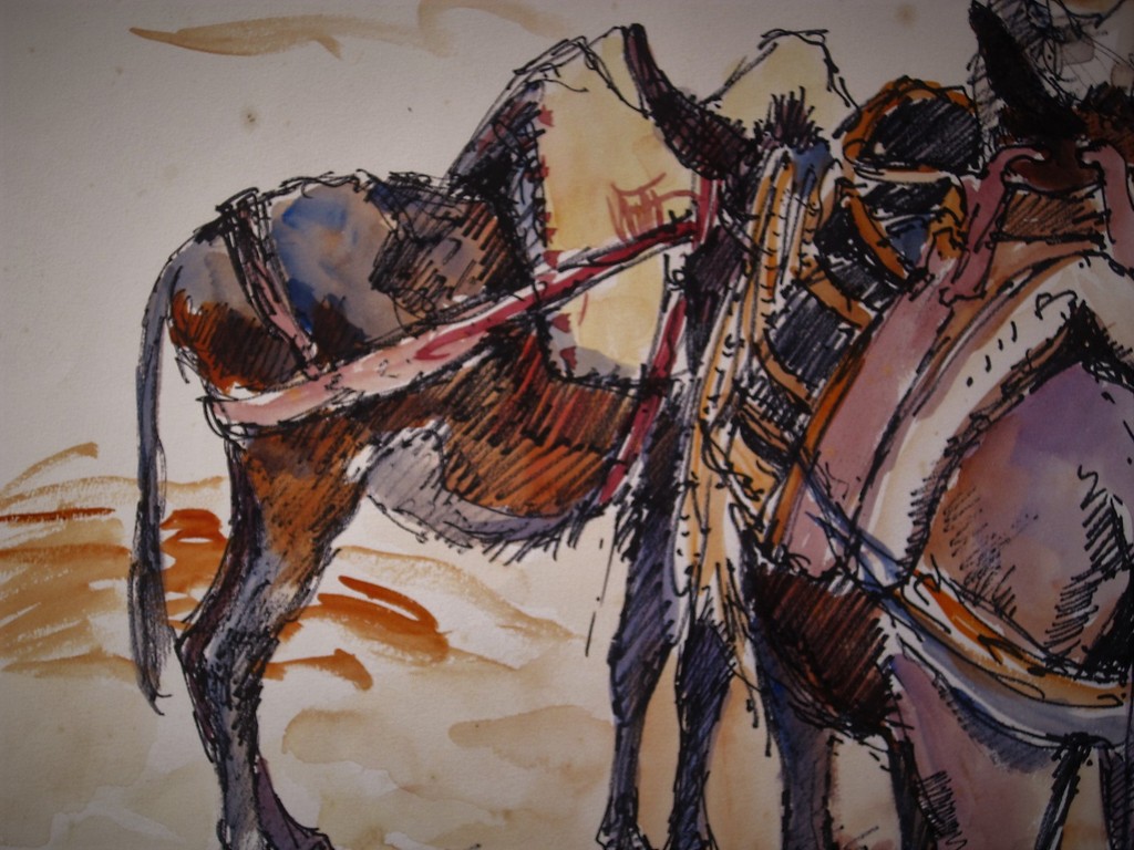 Zeldzaam mooi aquarel "Touareg met lastdieren in Sahara" Frans Boers 1912-1987  kopen? Bied vanaf 1!