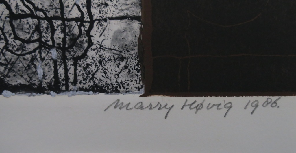 Marry Hovig: Ets, House of night kopen? Bied vanaf 35!