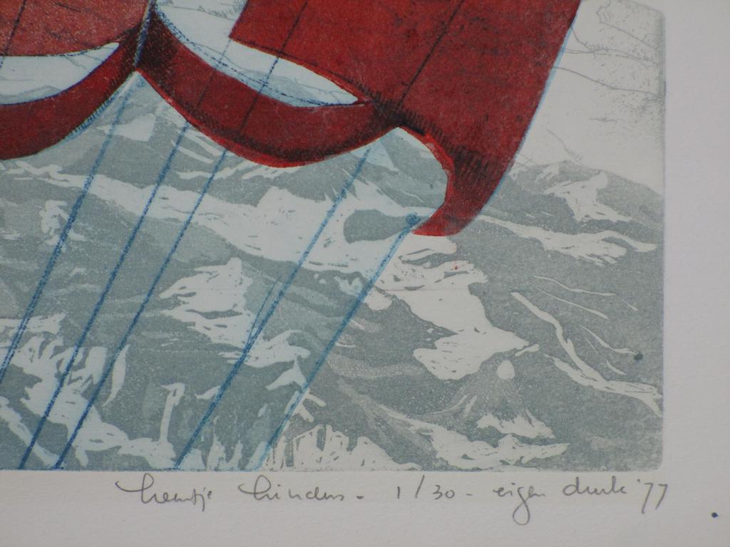 Leentje Linders, Falling to earth, Kleurets kopen? Bied vanaf 75!