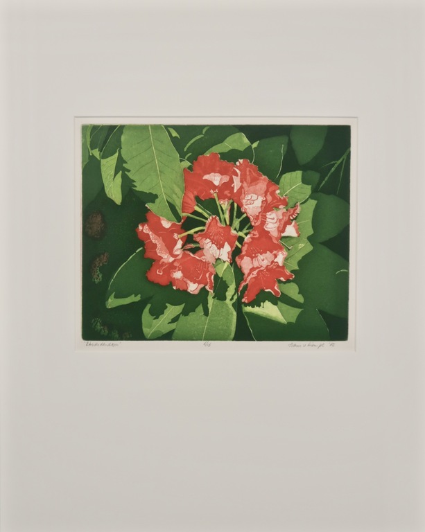 Hans van Liempt: Ets, Rhododendron kopen? Bied vanaf 1!