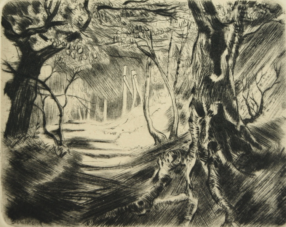 Theo Beerendonk (1905–1979) : Ets, droge naald - Bos – gesigneerd – ca 1950 kopen? Bied vanaf 25!