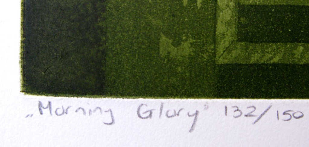 Laetitia de Haas - MORNING GLORY - kleurets kopen? Bied vanaf 1!