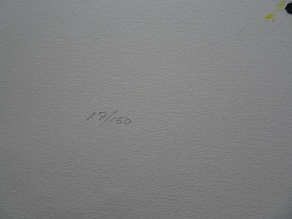 Twee Kleurenzeefdrukken van dezelfde kunstenaar gesigneerd kopen? Bied vanaf 1!