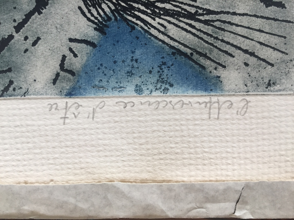 Kees Okx: l'éfferverscence d'etre, ets  kopen? Bied vanaf 75!