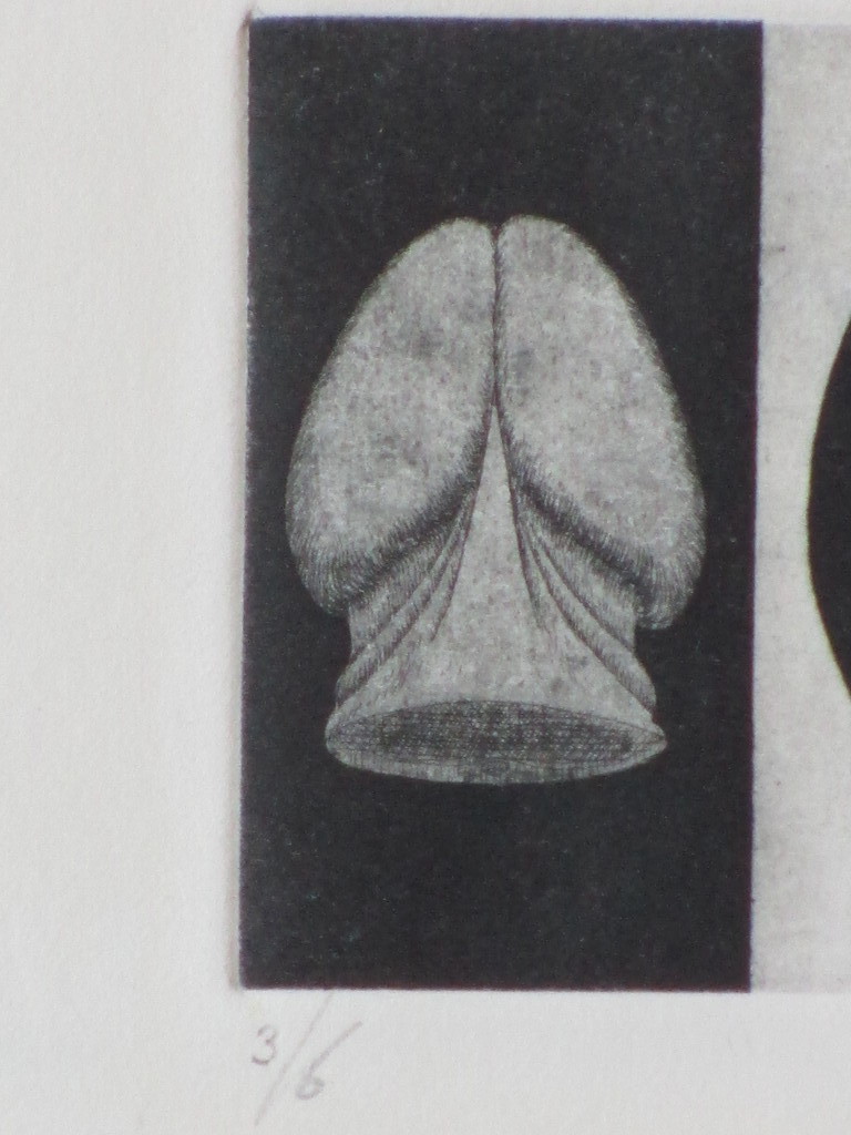 Koos van der Sluys, Verrukkulluk Swassanknuf, Ets kopen? Bied vanaf 25!