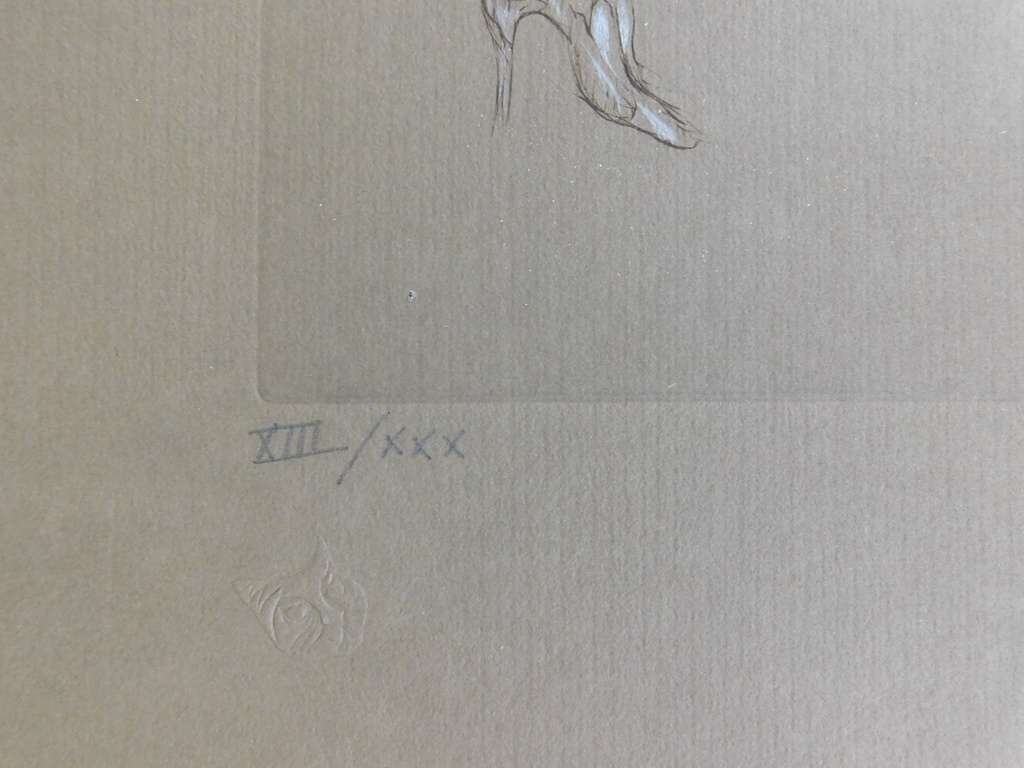 Leonor Fini - Ets - ScÃ¨ne de ThÃ©Ã¢tre kopen? Bied vanaf 80!