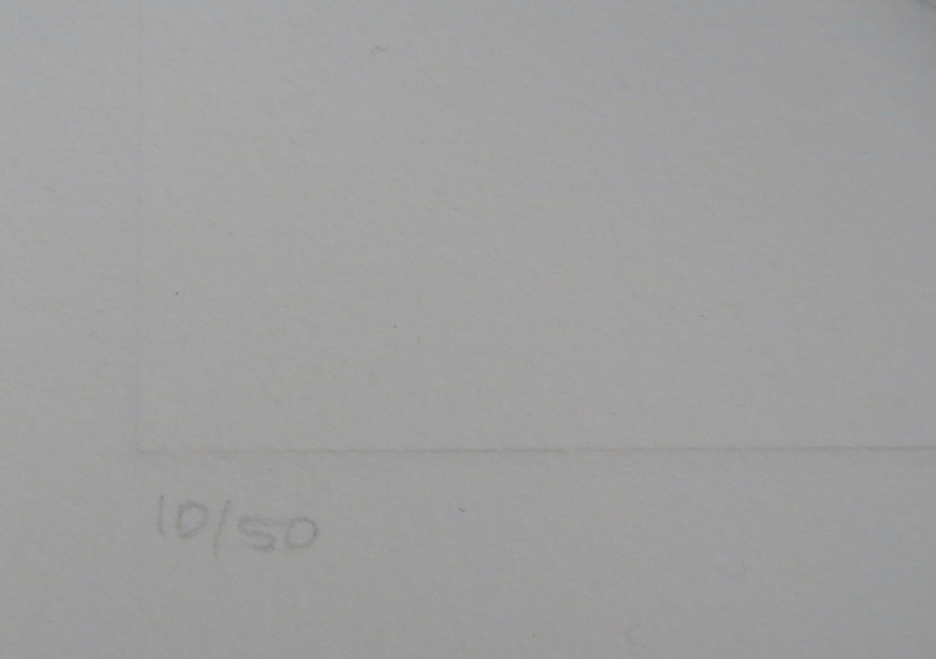 Zena Sernets: Blinddruk, Geometrisch (Circel) kopen? Bied vanaf 35!