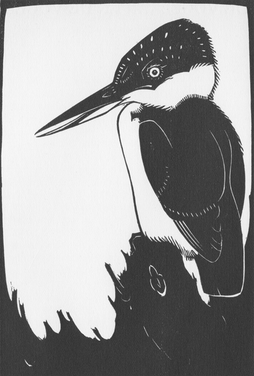 Jan Wittenberg: IJsvogel - houtsnede, 1930 verkocht voor € 75!