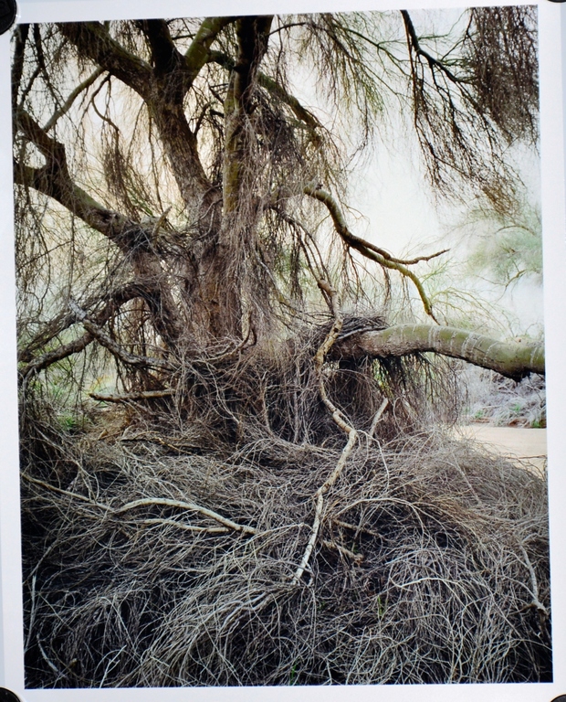 Kim Zwarts: Foto, Palos Verdes 2005, 2005 verkocht voor € 70!