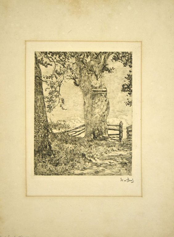 Willem de Zwart: Ets. Boom in Weide kopen? Bied vanaf 50!