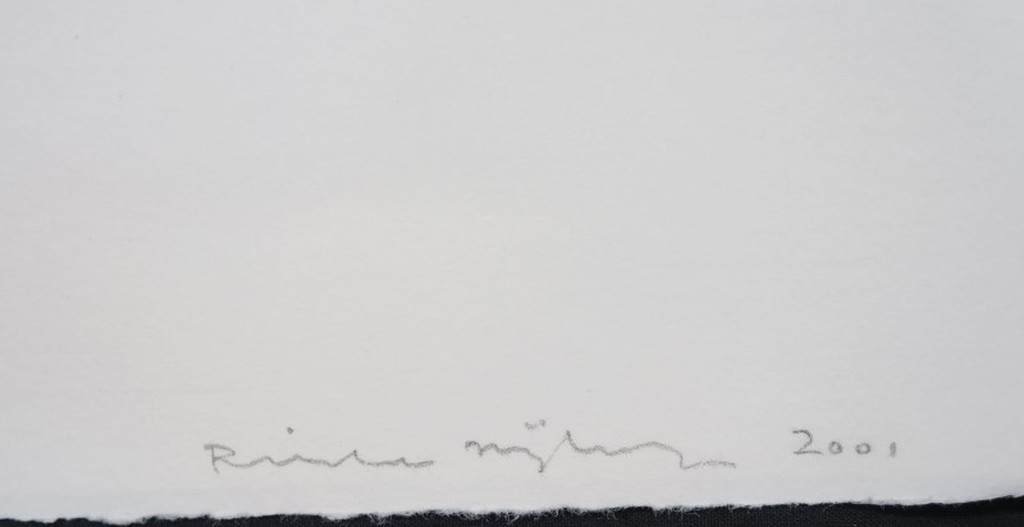 Rinke Nijburg: Ets en litho, the Snake's view kopen? Bied vanaf 1!