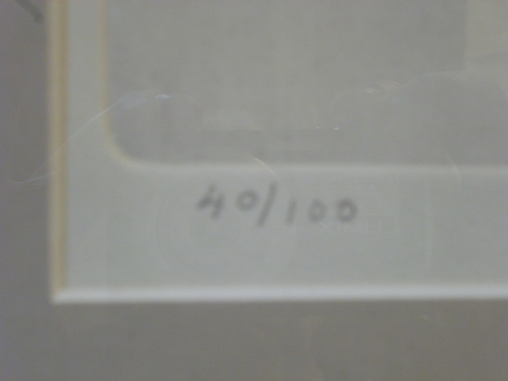 Poes in kistje kopen? Bied vanaf 40!