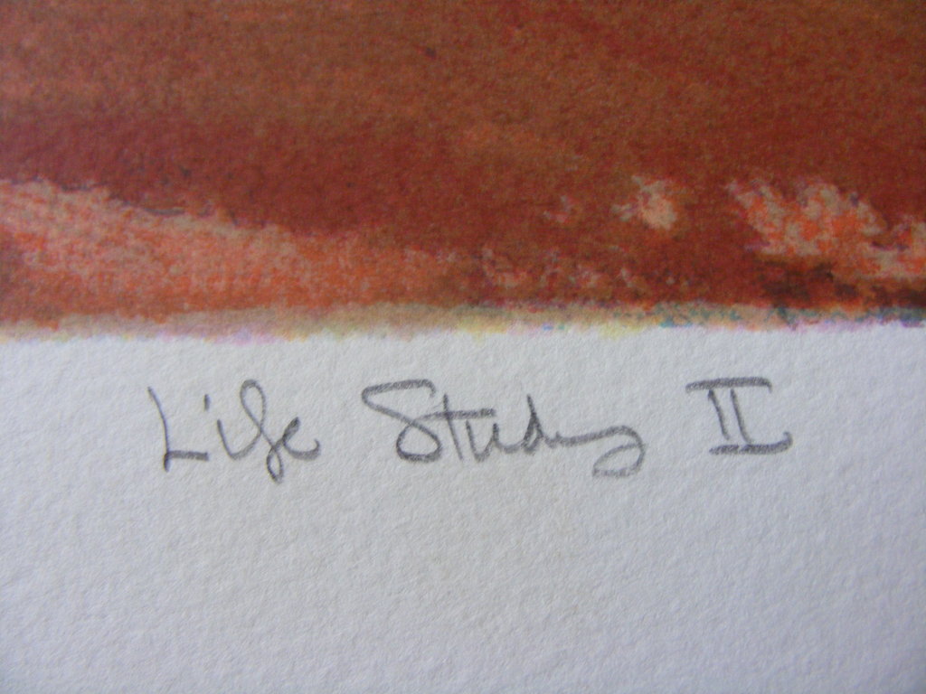 Mark Spain, "Life Study II", gesigneerde zeefdruk, oplage 50 kopen? Bied vanaf 110!
