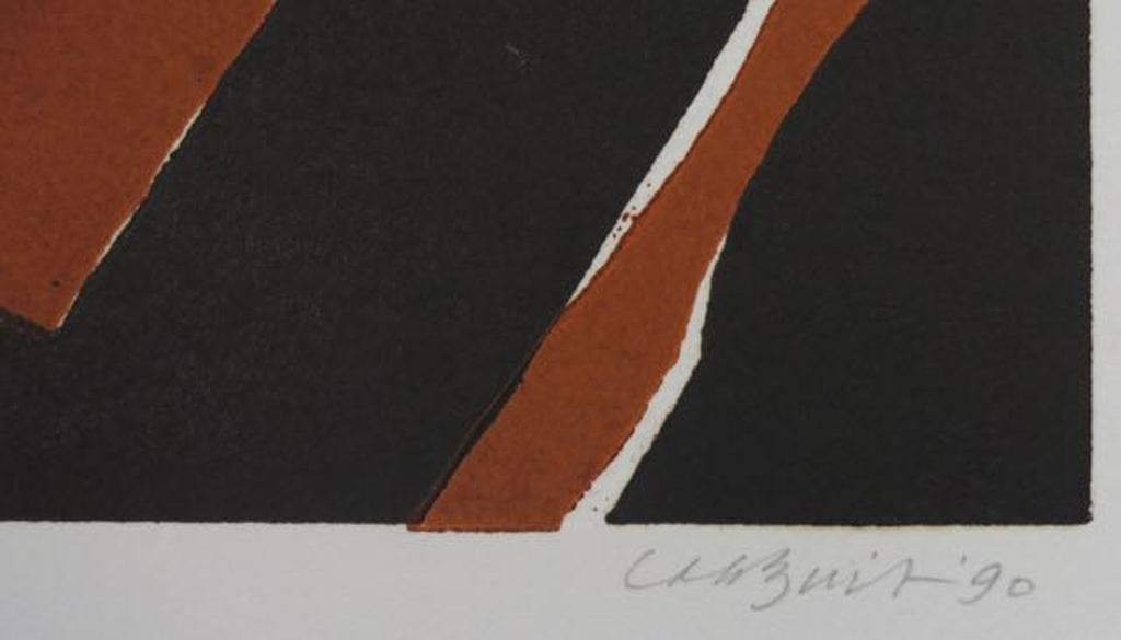 Tijs Buit: Lino, O-Flevoland kopen? Bied vanaf 20!