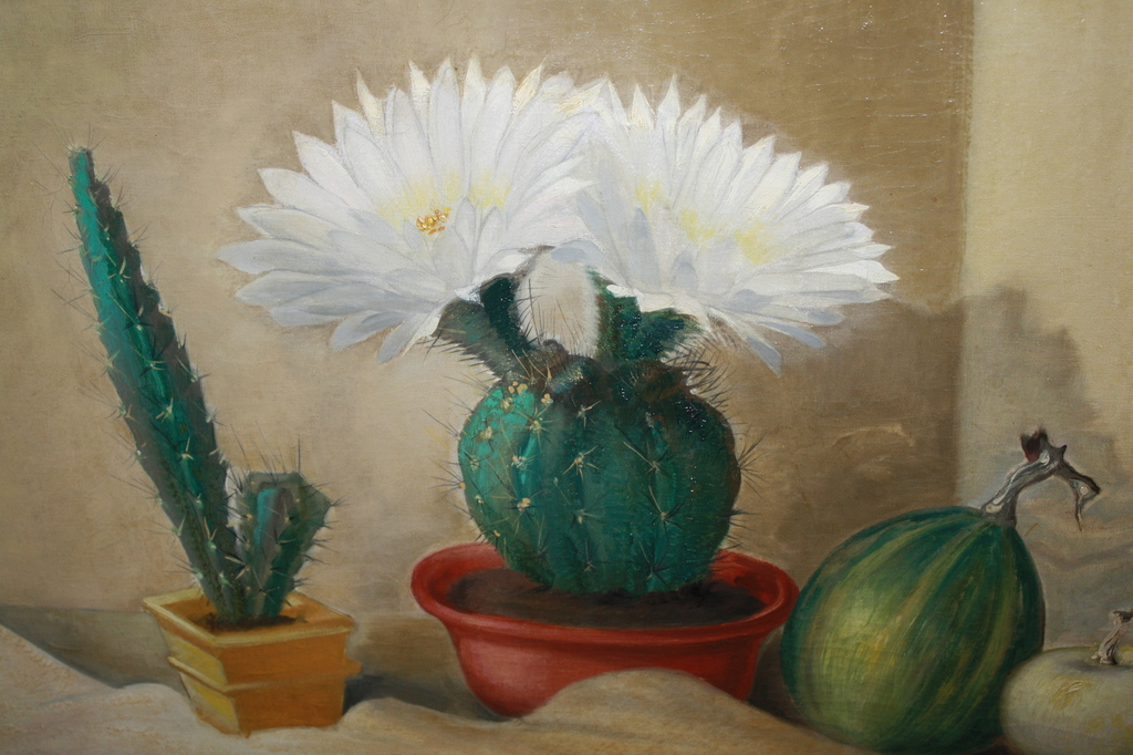 JAN SCHONK - CACTUSSEN en CALEBAS verkocht voor € 125!