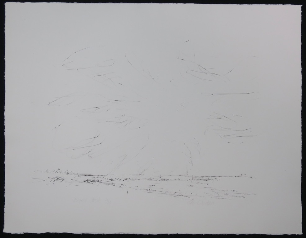 Willem den Ouden: Litho, Zonder titel kopen? Bied vanaf 1!